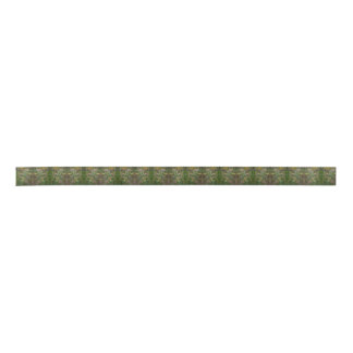 Meadow Seeds Satin Ribbon