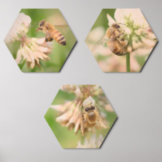 Meadow Visitor: Honeybee on Clover Wood Photo Tile
