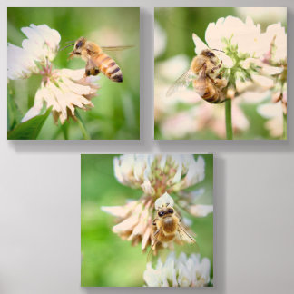 Meadow Visitor: Honeybee on Clover Wood Photo Tile