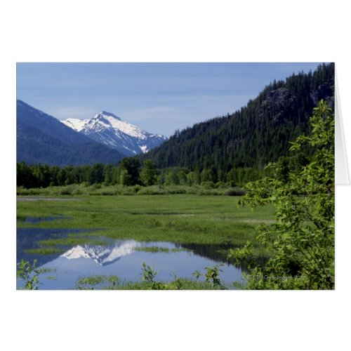 Meadow Wenatchee National Forest Washington