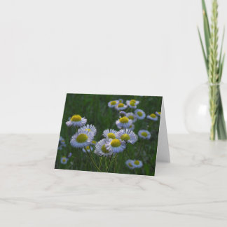 Meadow Wildflowers Note Card