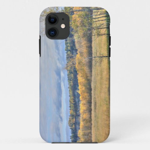 Meadow with Aspens iPhone 11 Case