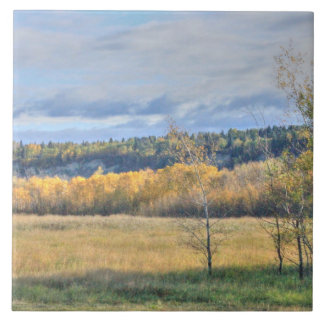 Meadow with Aspens Ceramic Tile