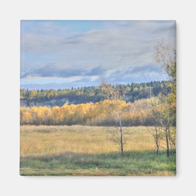 Meadow with Aspens Magnet (Front)