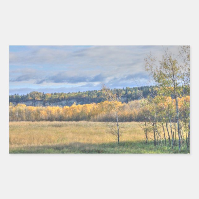 Meadow with Aspens Rectangular Sticker (Front)