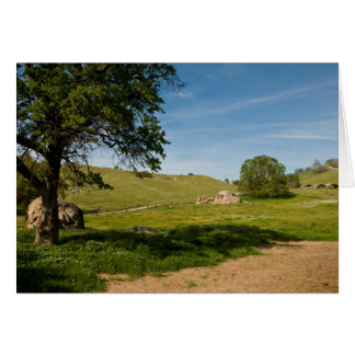 Meadow with Live Oaks and Boulders Cards