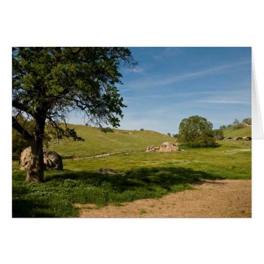 Meadow with Live Oaks and Boulders Cards (Front Horizontal)