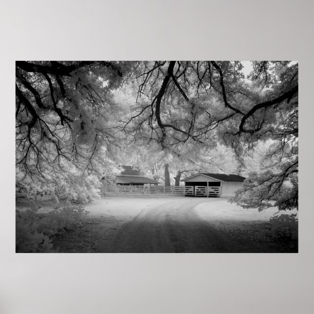 Meadowbank Farm Poster (Front)