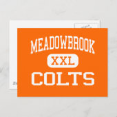 Meadowbrook - Colts - High School - Byesville Ohio Postcard (Front/Back)