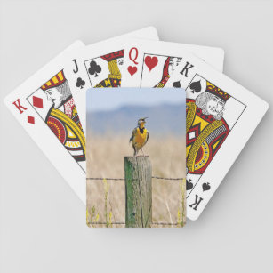 Meadowlark Bicycle Playing Cards