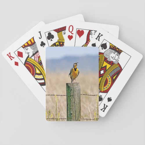 Meadowlark Bicycle Playing Cards