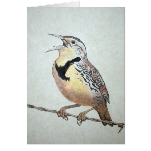 Meadowlark Cards (Front)