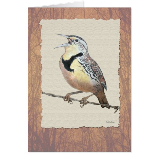 Meadowlark Cards (Front)