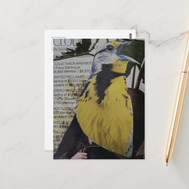 Meadowlark Surreal Collage Postcard (Front/Back In Situ)