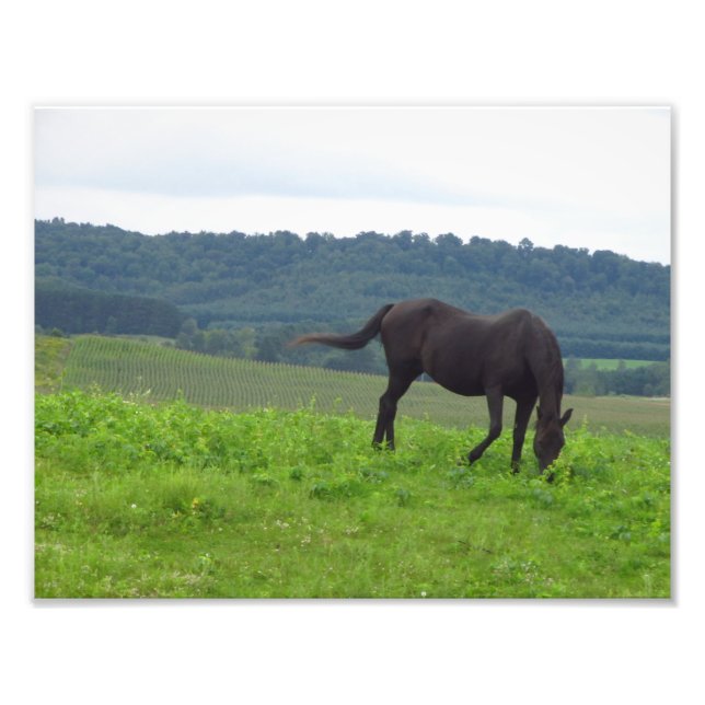 Meadows of Love Photo Print (Front)