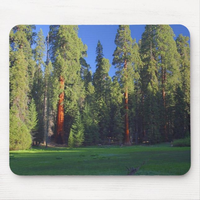 Meadows Sequoia Mouse Pad (Front)