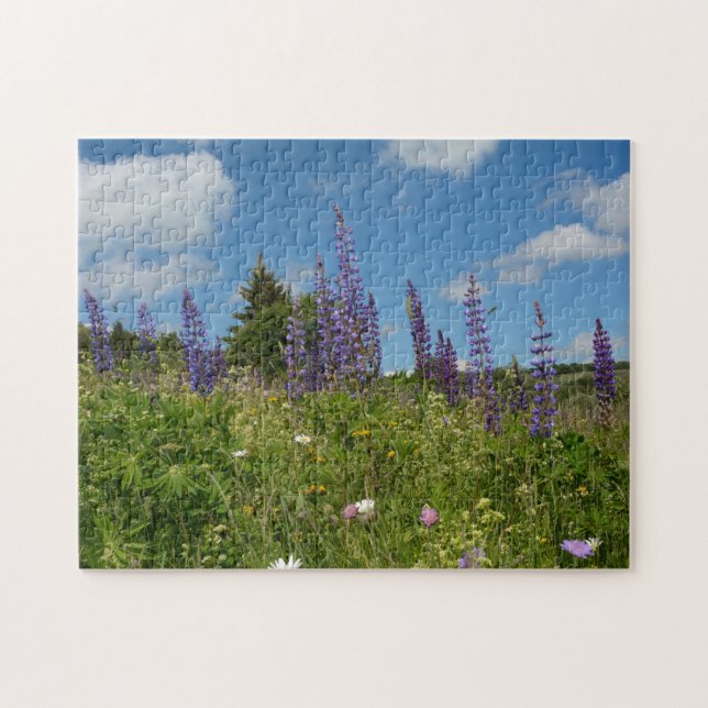 Meadows  with lupins  - jigsaw puzzle (Horizontal)