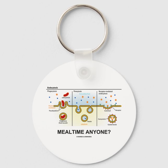 Mealtime Anyone? (Endocytosis Digestion Humor) Keychain (Front)