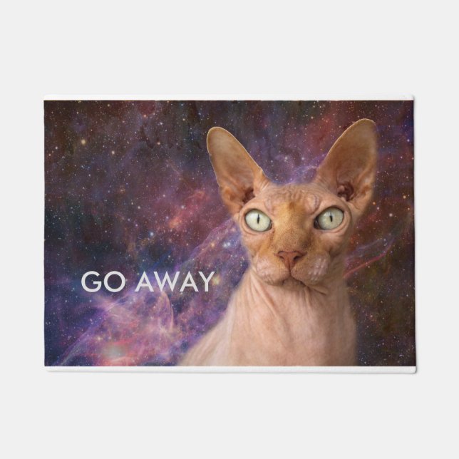 Mean cat says go away doormat (Front)