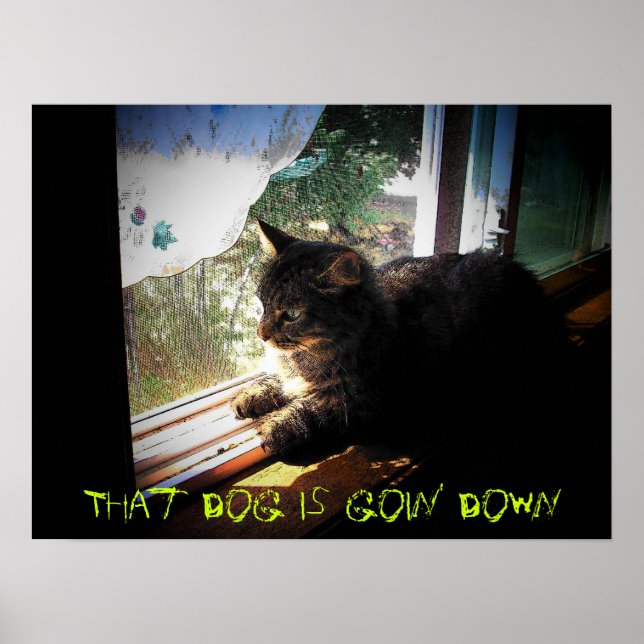 Mean Kitty Says That Dog is Goin' Down Poster (Front)