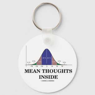 Mean Thoughts Inside (Statistics Humor) Keychain