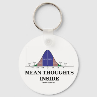 Mean Thoughts Inside (Statistics Humor) Keychain