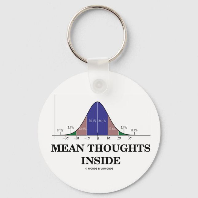 Mean Thoughts Inside (Statistics Humor) Keychain (Front)