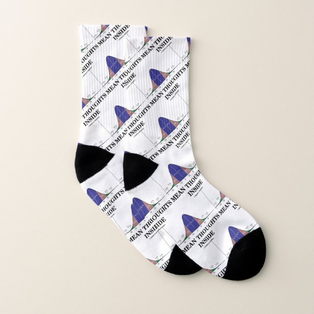 Mean Thoughts Inside Stats Geek Humor Socks (Pair)