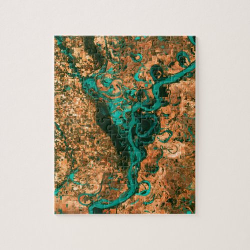 Meandering Mississippi Satellite Image Jigsaw Puzzle