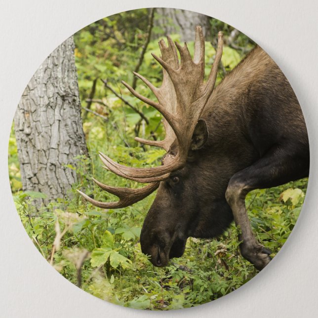 Meandering Moose Button (Front)