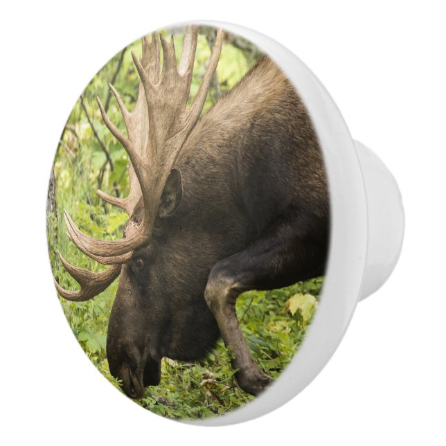 Meandering Moose Ceramic Knob (Right)