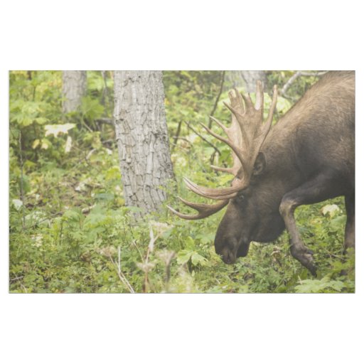 Meandering Moose Fabric