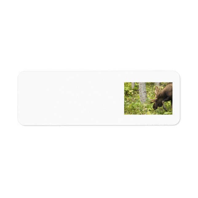 Meandering Moose Label (Front)