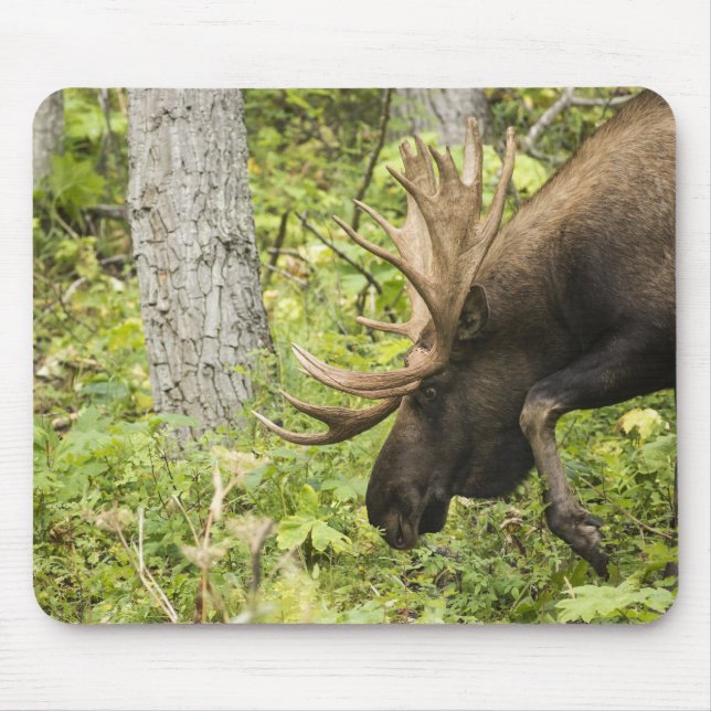 Meandering Moose Mouse Pad (Front)