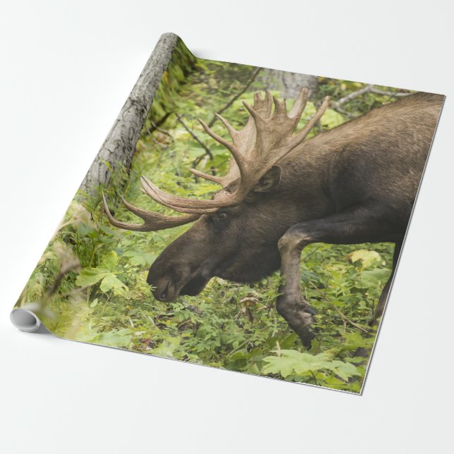 Meandering Moose Wrapping Paper (Unrolled)