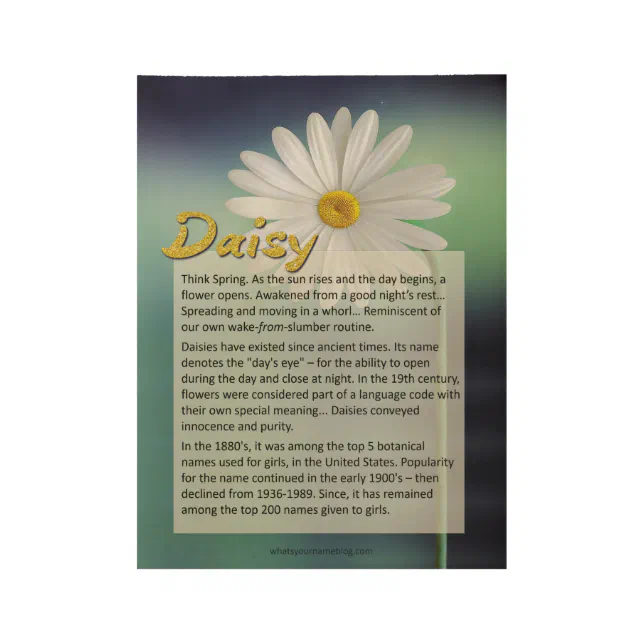 Meaning of the Name Daisy Wood Poster Zazzle