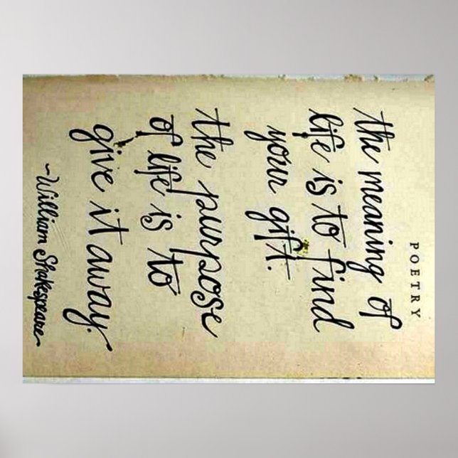 Meaning vs. Purpose of Life Poster (Front)