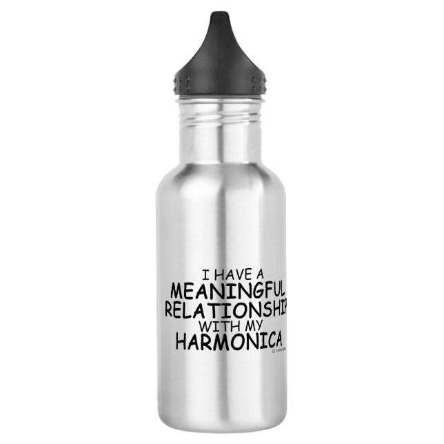Meaningful Relationship Harmonica Stainless Steel Water Bottle (Left)