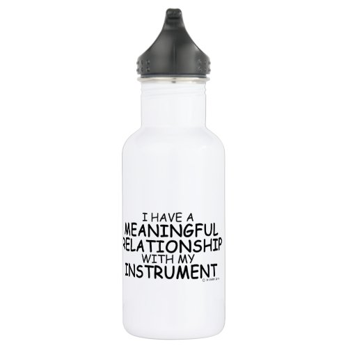 Meaningful Relationship Instrument Stainless Steel Water Bottle