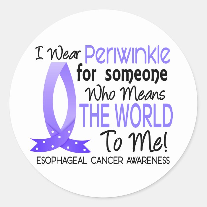 Means The World To Me Esophageal Cancer Sticker