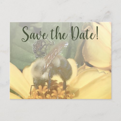 Meant to Bee Soft Toned Photo Save the Date Holiday Postcard