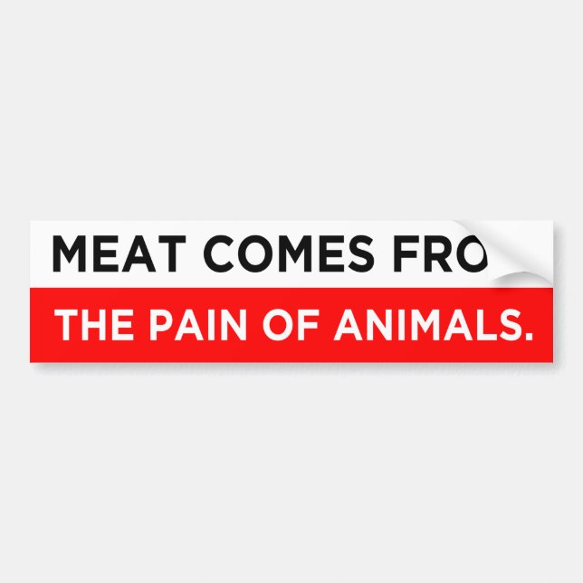 meat comes from the pain of animals vegan  bumper sticker (Front)