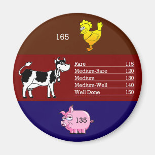 Meat temperature magnet