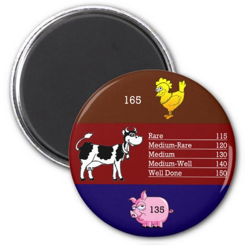 Meat temperature magnet