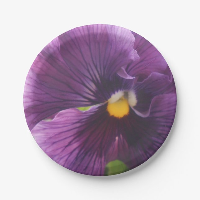 Mechteld Paper Plates (Front)