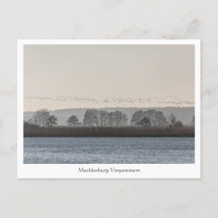 Mecklenburg-Vorpommern Postcard