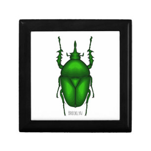 Mecynorhina torquata bug cartoon illustration gift box