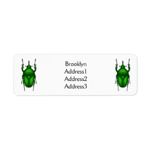 Mecynorhina torquata bug cartoon illustration label