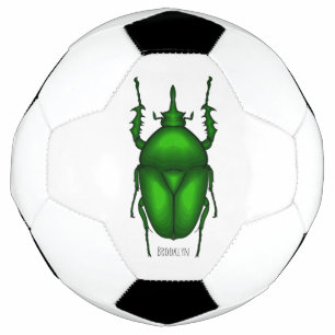 Mecynorhina torquata bug cartoon illustration soccer ball