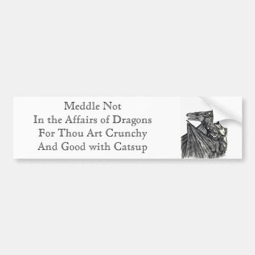 Meddle Not In the Affairs of Dragons Bumper Sticker